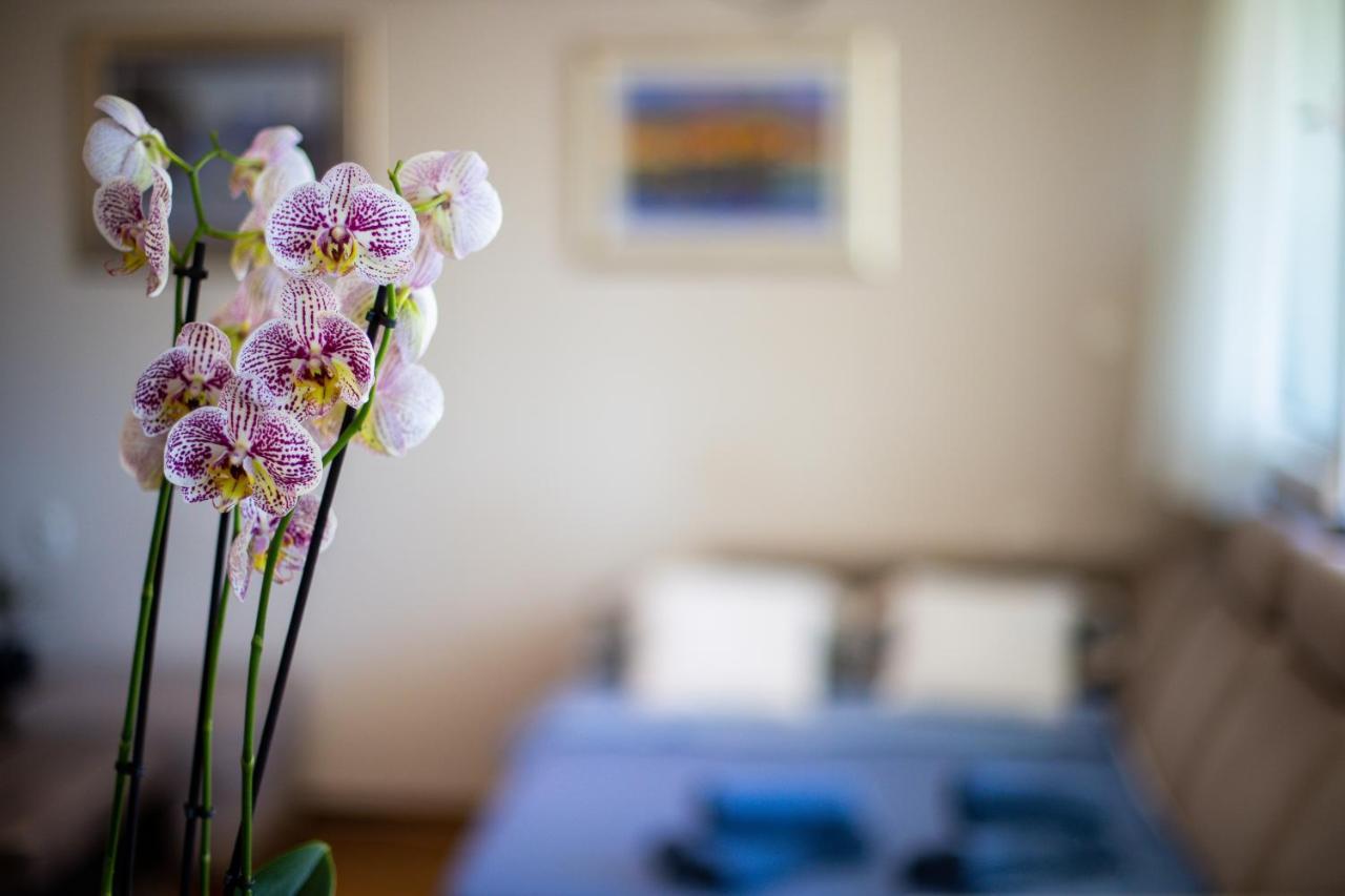 Mia Leona Apartment Split Bagian luar foto